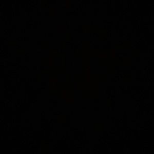 Meet your Posher, Jessie